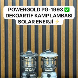 POWERGOLD PG-1993